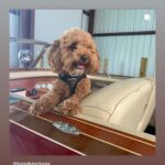 https://www.instagram.com/stories/highlights/18150141487063052/