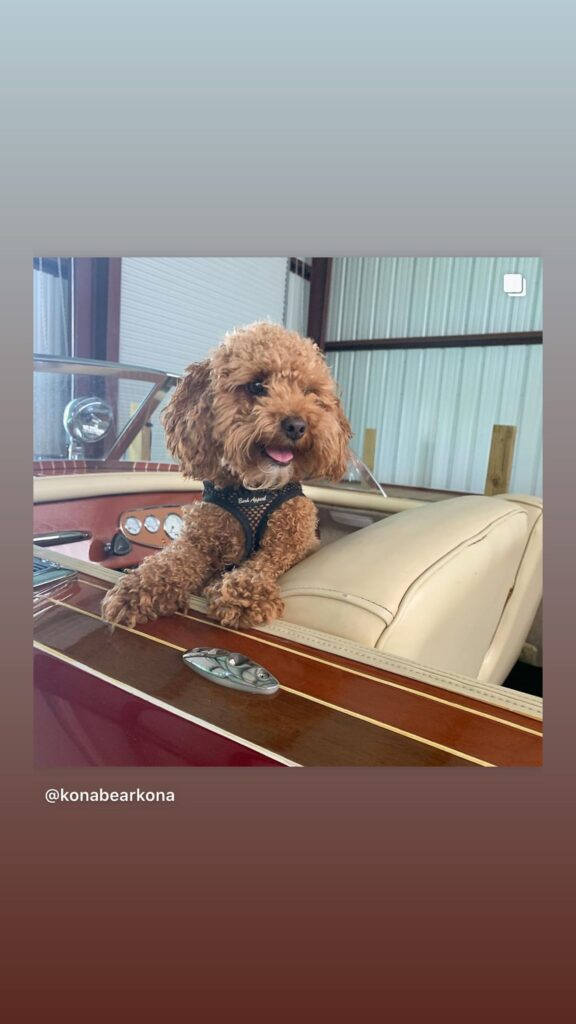 https://www.instagram.com/stories/highlights/18150141487063052/