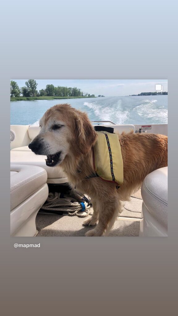 https://www.instagram.com/stories/highlights/18028023265272145/