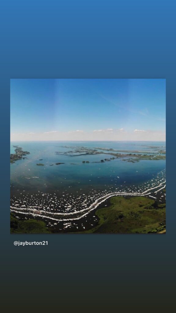 https://www.instagram.com/stories/highlights/17876228902768017/