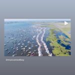 https://www.instagram.com/stories/highlights/17876228902768017/