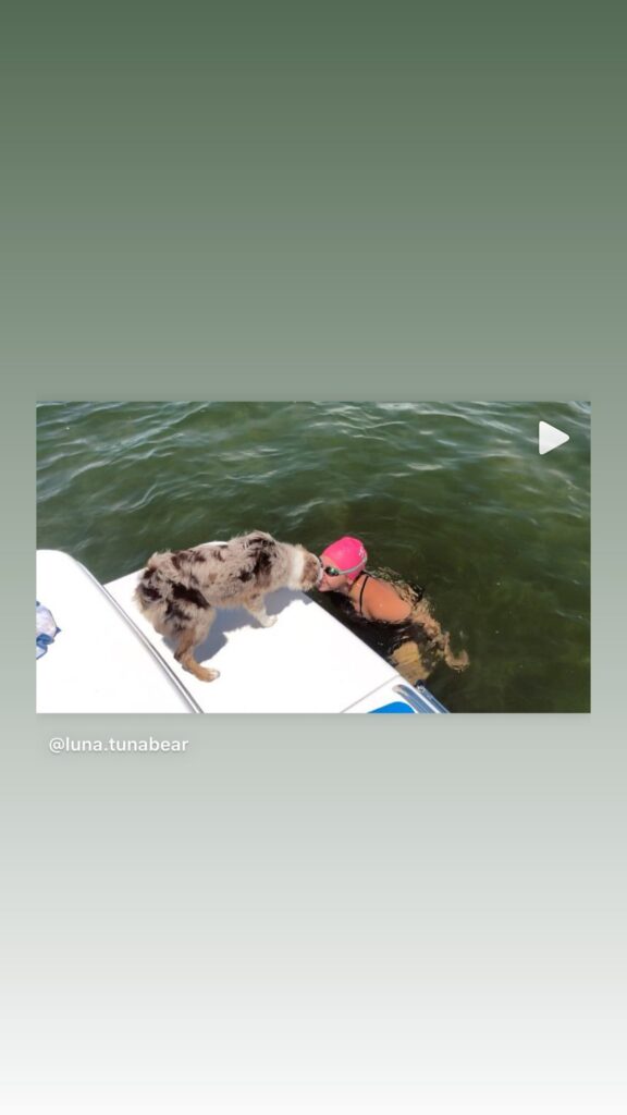 https://www.instagram.com/stories/highlights/18028023265272145/