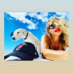 https://www.instagram.com/stories/highlights/18028023265272145/