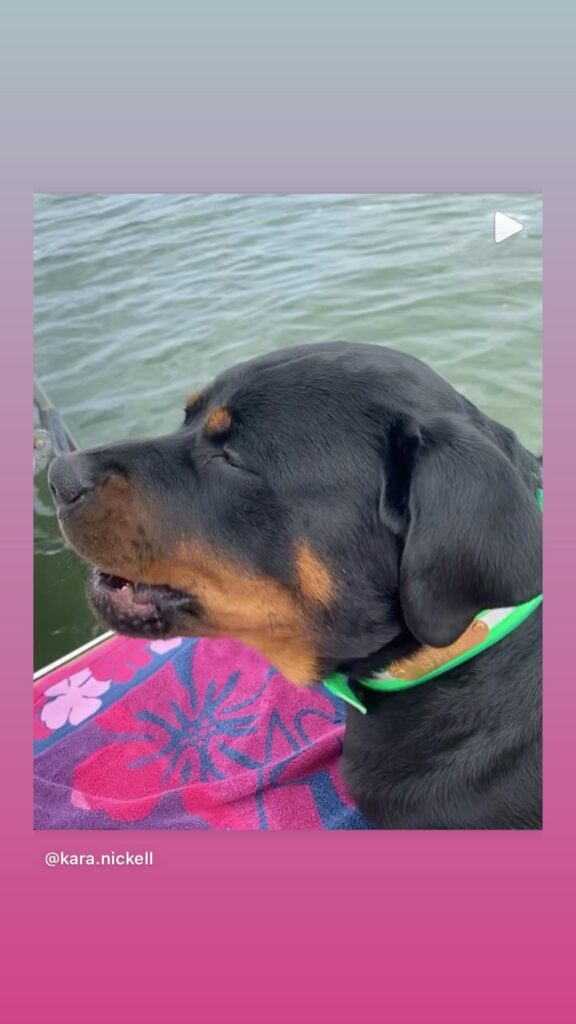 https://www.instagram.com/stories/highlights/18028023265272145/