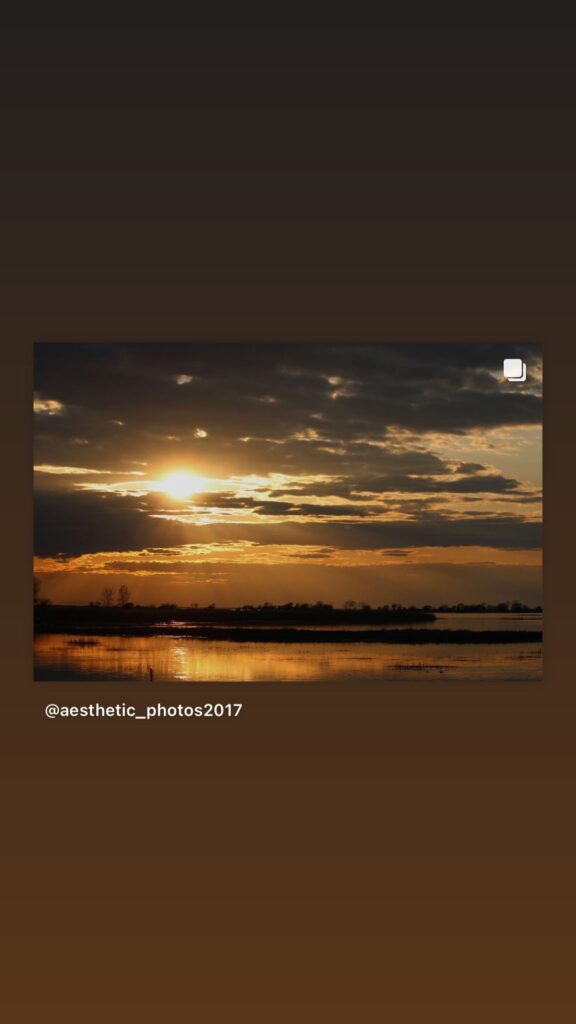 https://www.instagram.com/stories/highlights/18153279043050034/