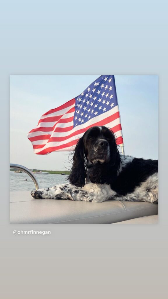 https://www.instagram.com/stories/highlights/18028023265272145/