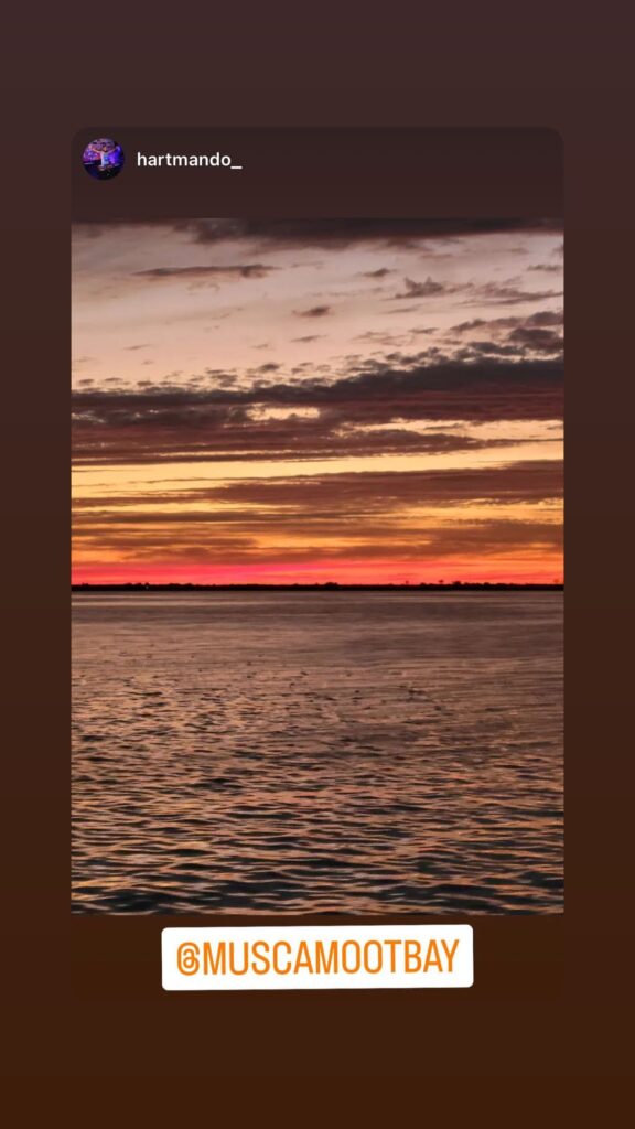 https://www.instagram.com/stories/highlights/17936448620185645/
